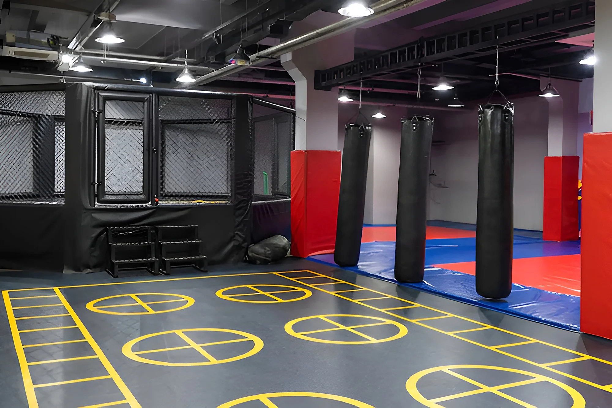 gym wall padding imgae