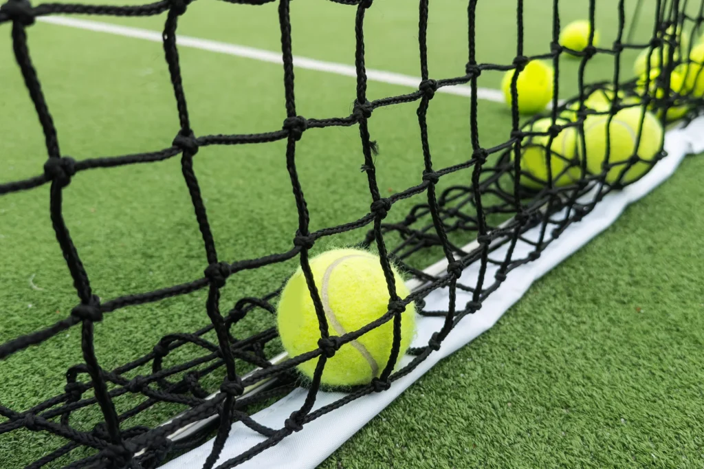 professional paddle tennis racket with natural lig